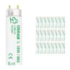 Mehrfachpackung 25x Osram L 18W 865 Lumilux | 59cm - Tageslichtweiß